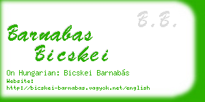 barnabas bicskei business card